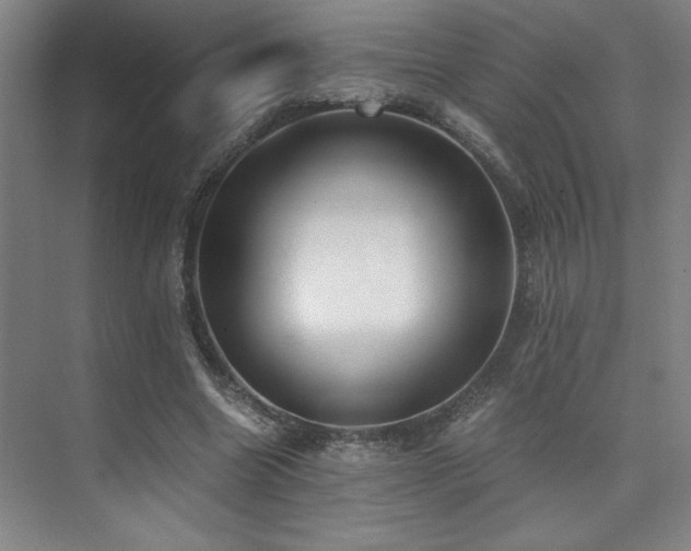 X0000073840538200608101232