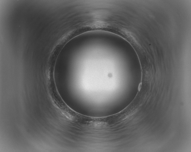 X0000073840539200608101232