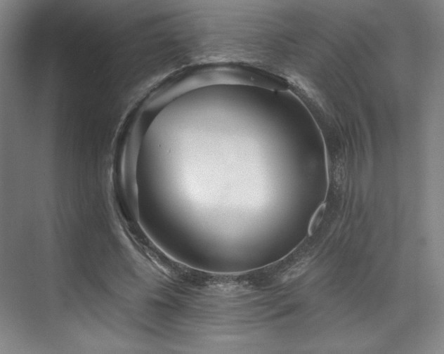 X0000073840540200608101232