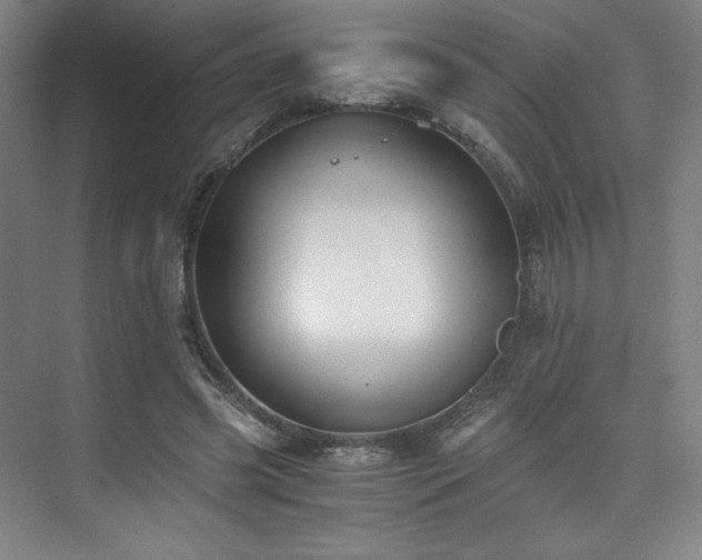 X0000073840541200608101232