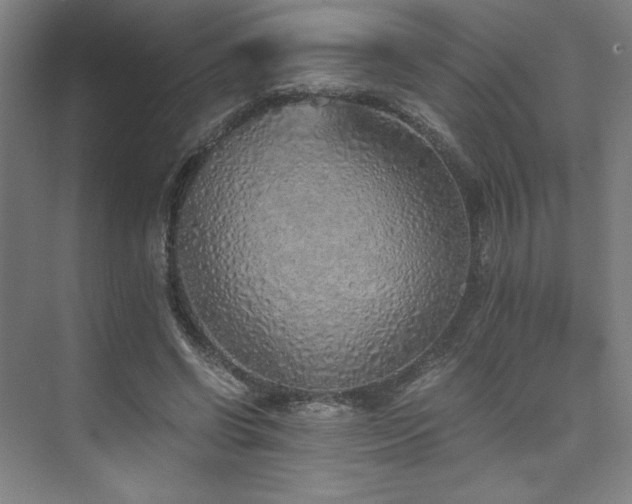 X0000073840542200608101232