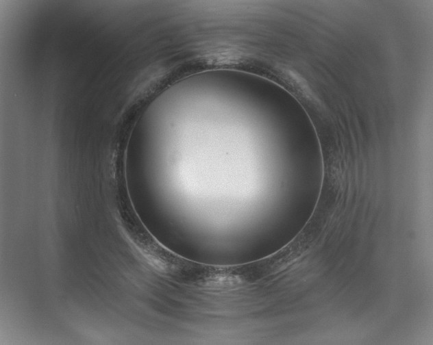 X0000073840543200608101232