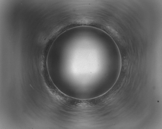 X0000073840544200608101232