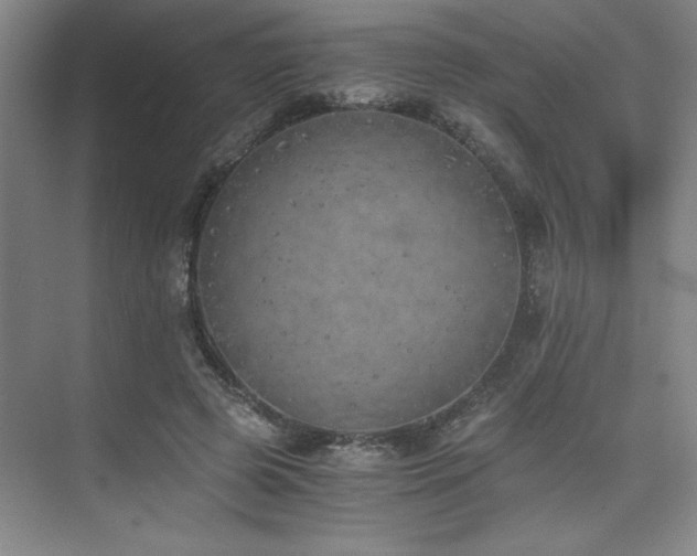 X0000073840545200608101232