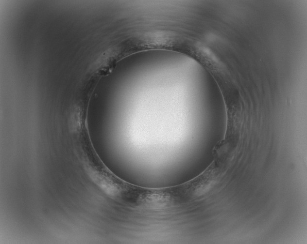 X0000073840546200608101232