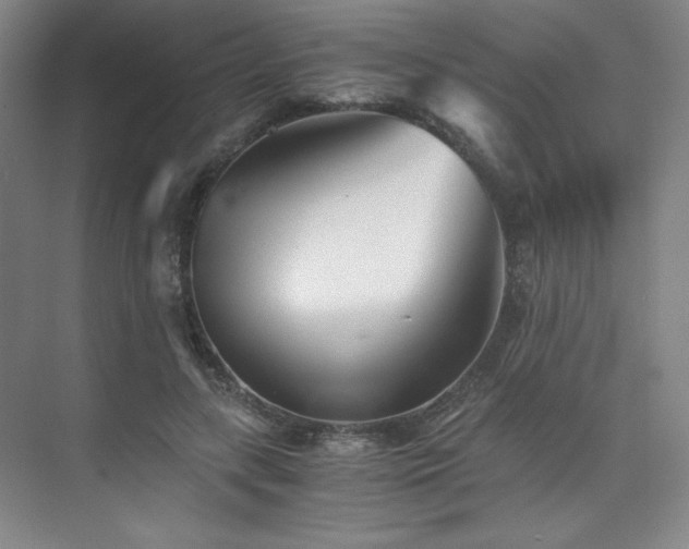 X0000073840547200608101232