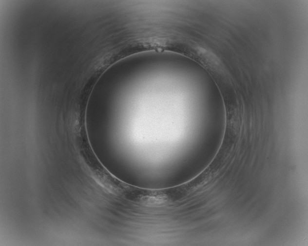 X0000073840548200608101232