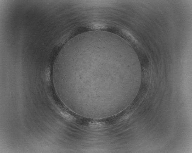 X0000073840549200608101232