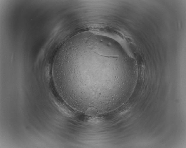 X0000073840550200608101232