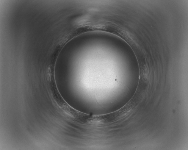 X0000073840551200608101232