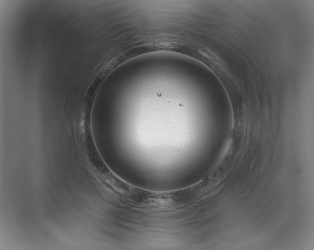 X0000073840552200608101232