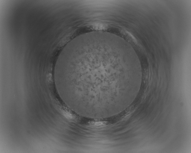 X0000073840553200608101232