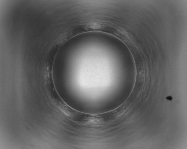 X0000073840555200608101232