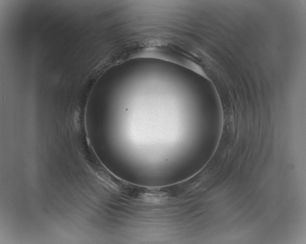 X0000073840556200608101232