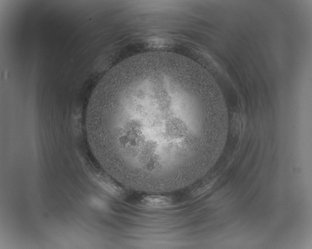 X0000073840557200608101232