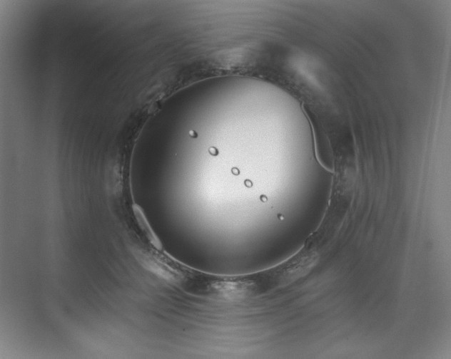 X0000073840558200608101232