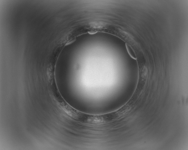 X0000073840559200608101232