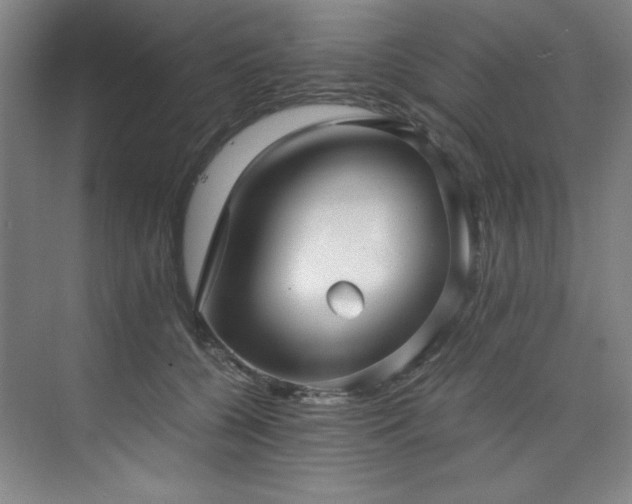 X0000073840560200608101232