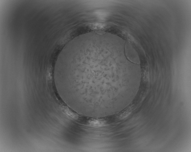 X0000073840561200608101232