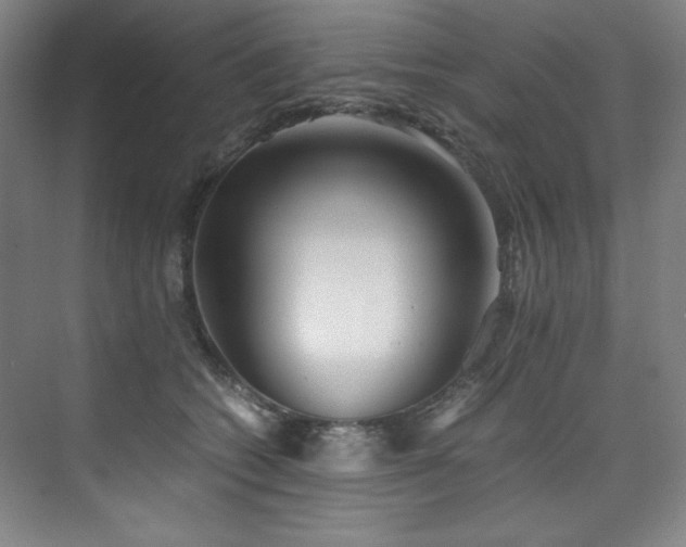 X0000073840562200608101232