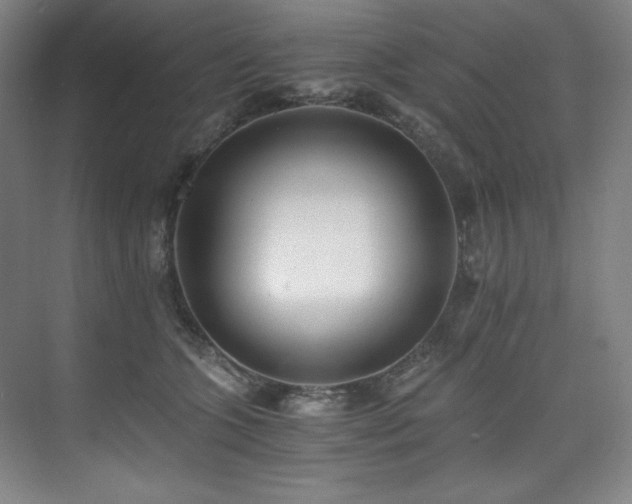 X0000073840563200608101232