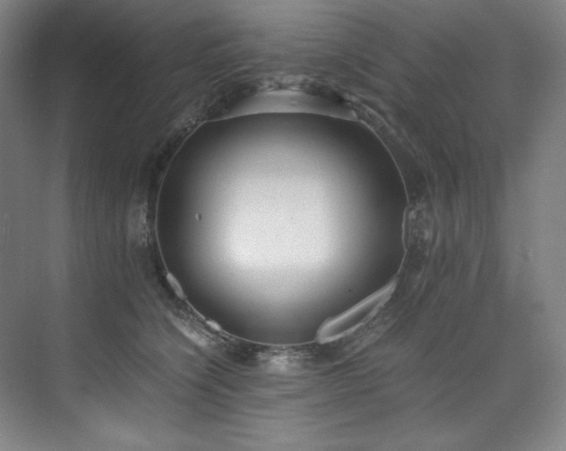 X0000073840564200608101232