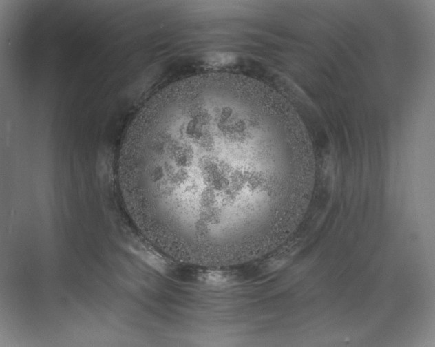 X0000073840565200608101232