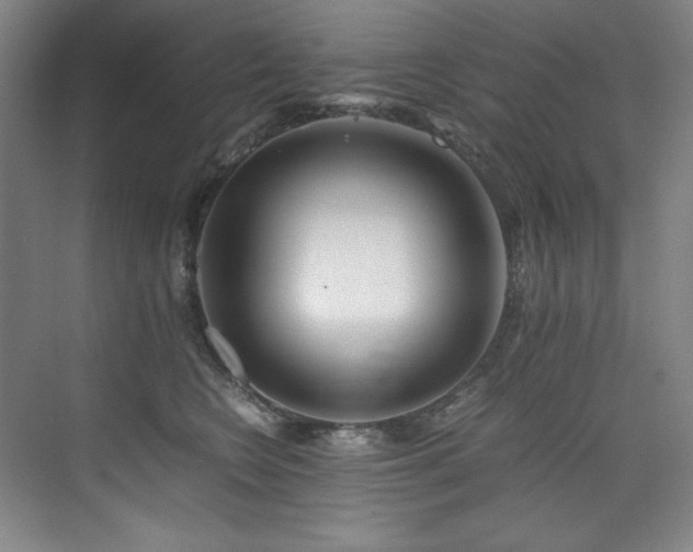 X0000073840566200608101232