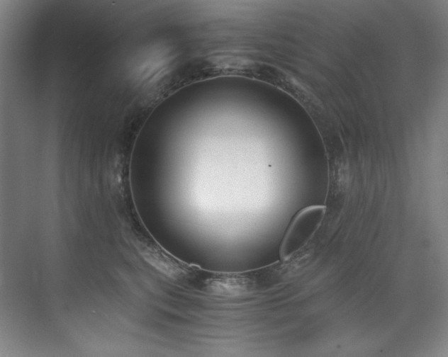 X0000073840567200608101232