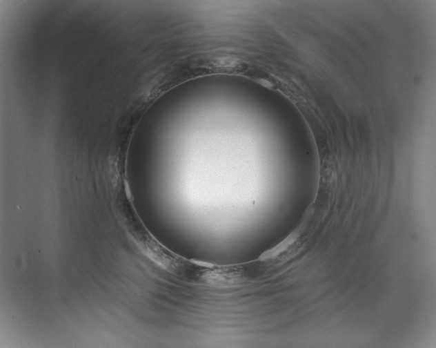 X0000073840568200608101232