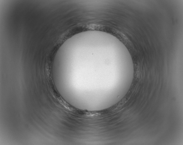 X0000073840569200608101232