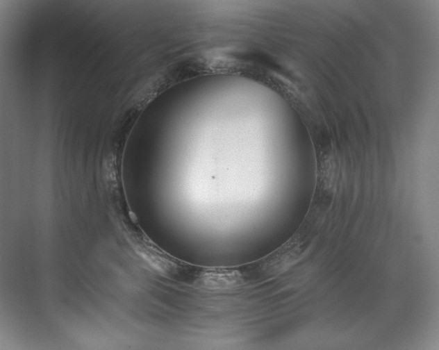 X0000073840571200608101232