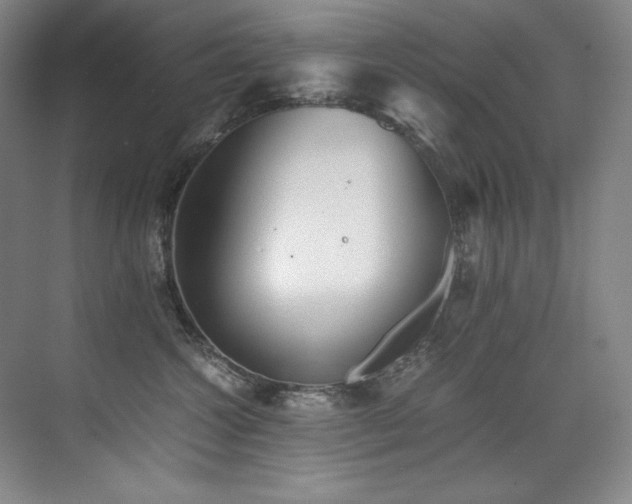 X0000073840572200608101232