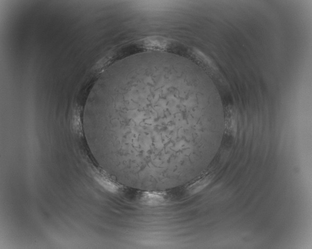 X0000073840573200608101232