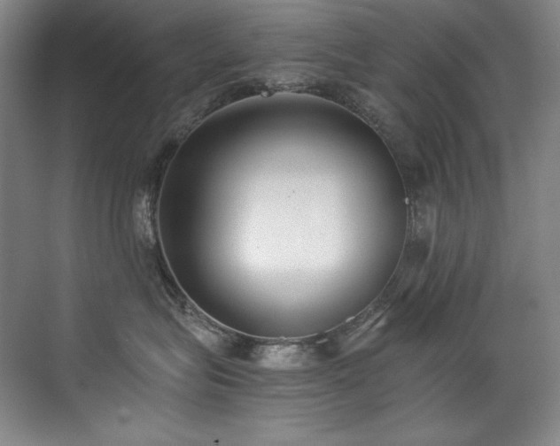 X0000073840575200608101232