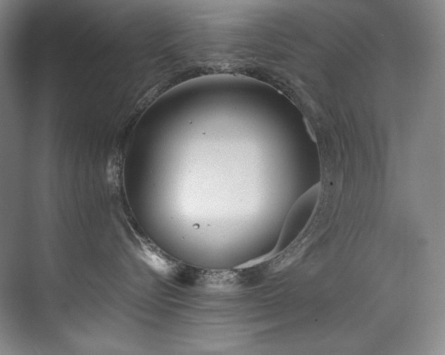 X0000073840576200608101233