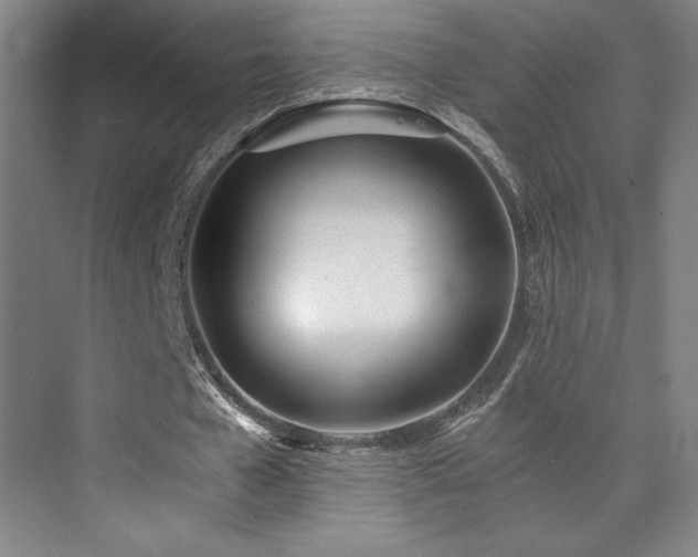 X0000073840577200608101232