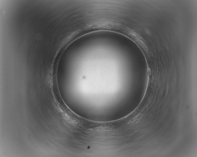 X0000073840578200608101232