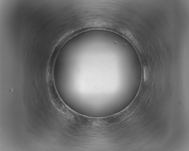 X0000073840579200608101232