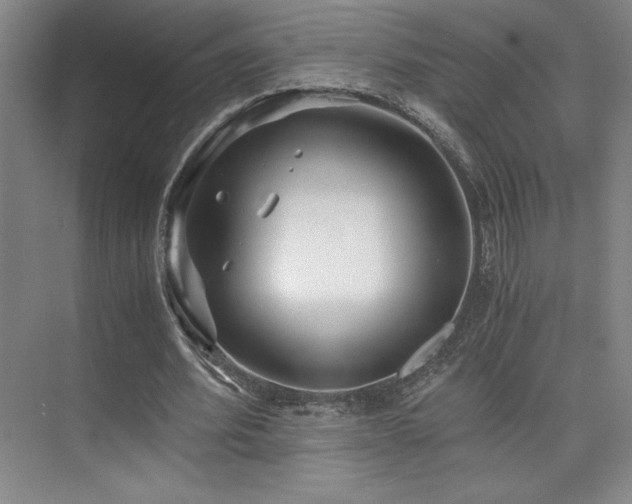 X0000073840580200608101232