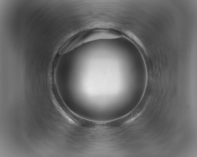 X0000073840581200608101232