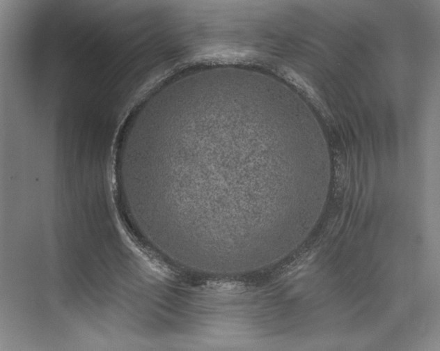 X0000073840582200608101232