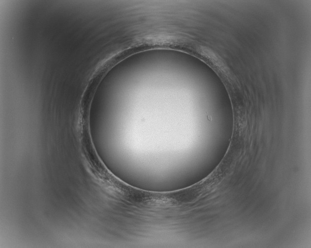 X0000073840583200608101232