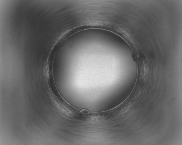 X0000073840584200608101232