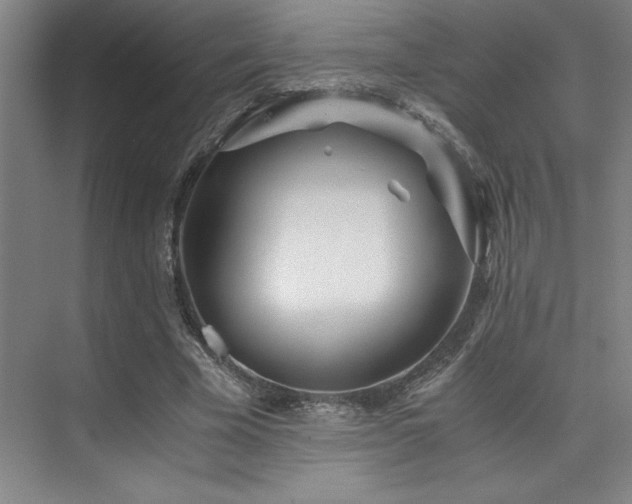 X0000073840585200608101232