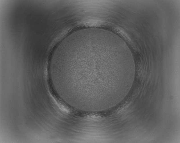 X0000073840586200608101232