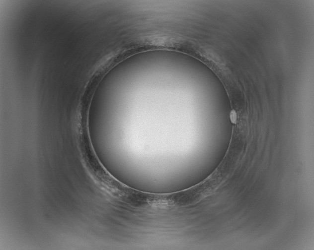 X0000073840587200608101232