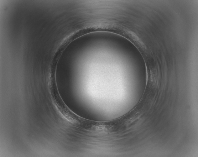 X0000073840588200608101232