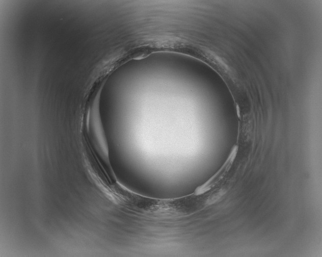 X0000073840589200608101232