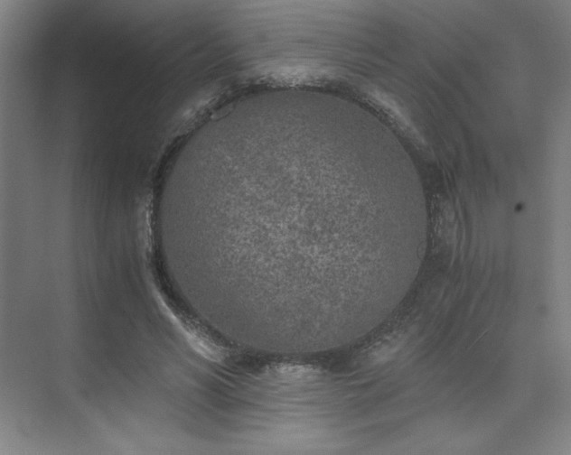 X0000073840590200608101231